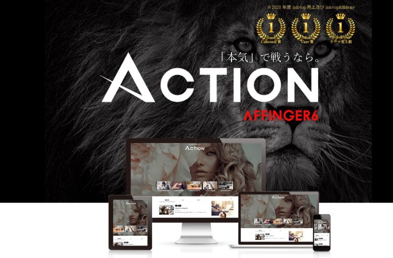 WordPressテンプレート「Action（AFFINGER6）」